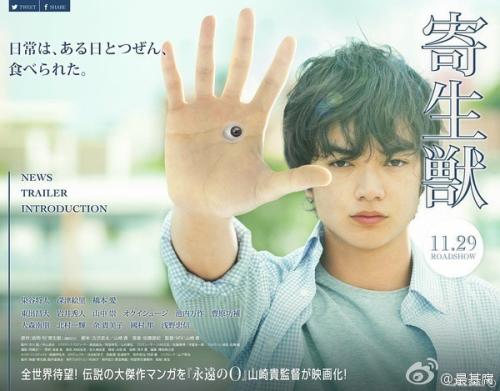 瓦贝希学院会计文凭证书